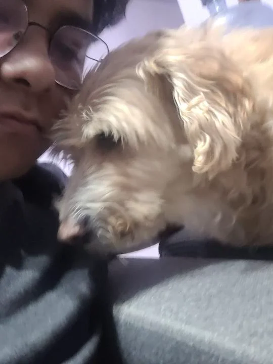 Robi — mi perro