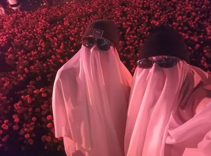 Motivo fantasma de Aequorea