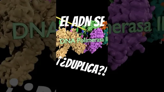 ¿¡El ADN se duplica!?