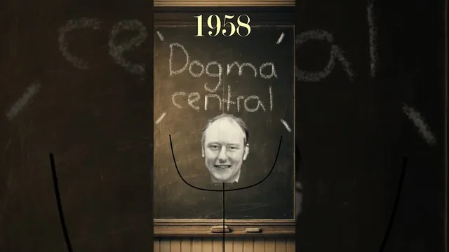 ¿Sabías que toda la vida se basa en este dibujo?