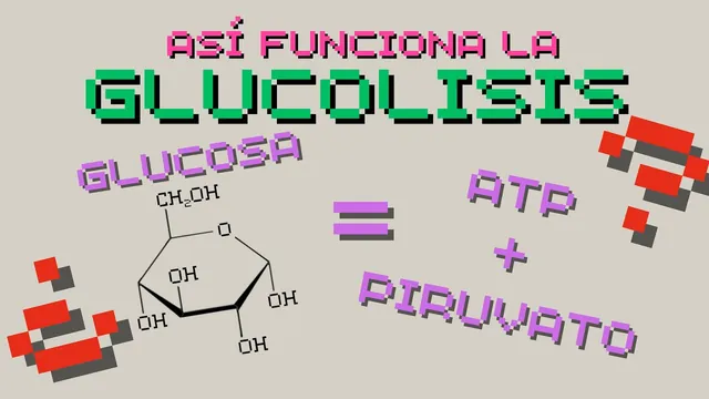 Así Funciona la Glucólisis: La Vía Metabólica Clave para la Vida